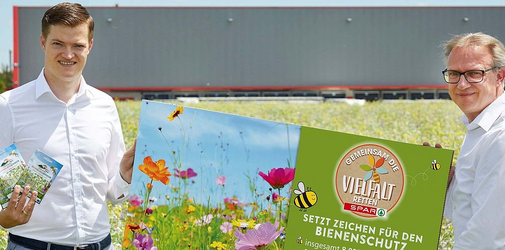 Bei der SPAR-Zentrale Graz entsteht eine Blumenwiese für Bienen. 