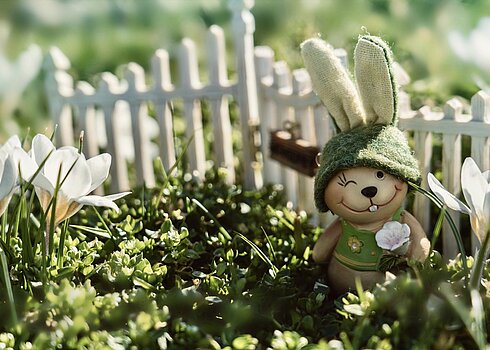 Eine Osterhasenfigur steht vor einem Miniaturzaun zwischen Krokusblüten