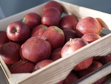 Der steirische Obst- und Gemüseproduzent Frutura präsentiert den BioBienenApfel