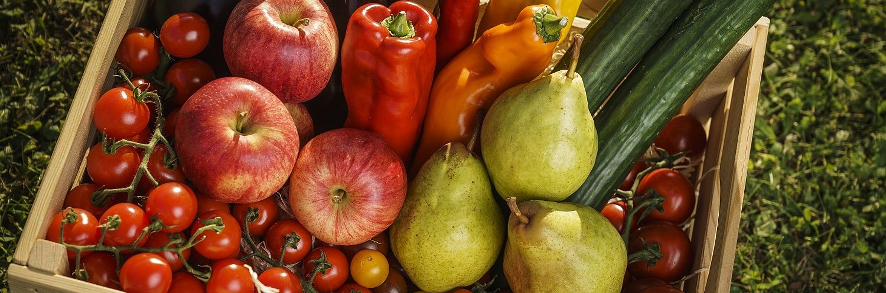 Bunte Obst- und Gemüsekiste von der Frutura
